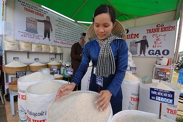 Xuất khẩu gạo: Gạo thơm chiếm “ngôi đầu” xuat khau gao gao thom chiem ngoi dau