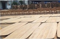 Xóa tình trạng gỗ dán đội lốt xuất xứ Việt Nam xuất khẩu sang Mỹ