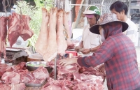 Chính phủ phê bình Bộ Nông nghiệp và Phát triển nông thôn về tình hình giá thịt lợn