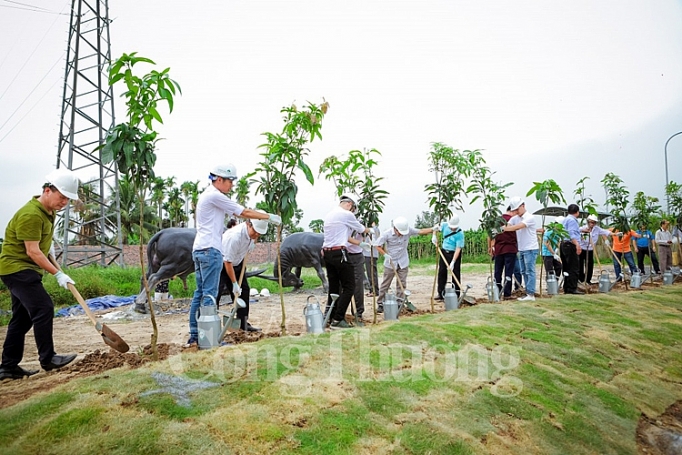 bao ve moi truong xa hoi hoa toan dan trong phong trao trong cay gay rung