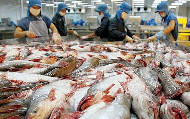 Quảng bá gạo và cá tra Việt Nam tại Philippines quang ba gao va ca tra viet nam tai philippines