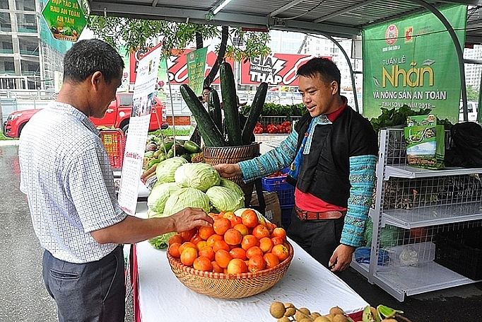 10 nam cuoc van dong nguoi viet nam uu tien dung hang viet nam nhan len niem tu hao hang viet ky 2 lan gio moi dua hang viet vao thi truong noi dia