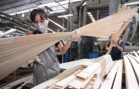 Bùng nổ gian lận xuất xứ hàng hóa