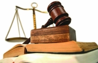 Phản ứng chính sách nhanh hơn: Biến “nguy” thành “cơ”