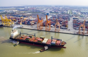 Số C/O được cấp tăng cao, EVFTA tiếp tục được tận dụng hiệu quả