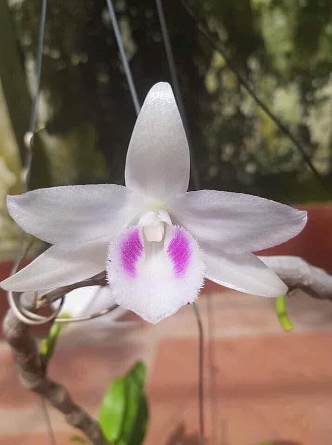 undefined 5242-img-6670