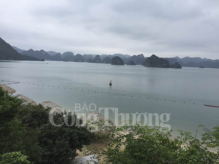 bai tam soi sim hoat dong tro lai