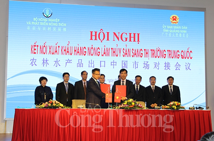 Xuất khẩu hàng nông, lâm, thủy sản sang Trung Quốc: Đáp ứng tốt các điều kiện để chiếm lĩnh thị trường xuat khau hang nong lam thuy san sang trung quoc dap ung tot cac dieu kien de chiem linh thi truong