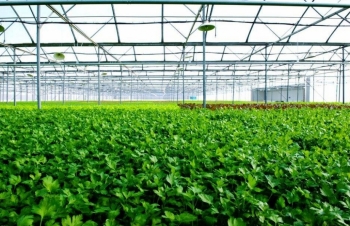 Quảng Ninh xây dựng khu nông nghiệp ứng dụng công nghệ cao