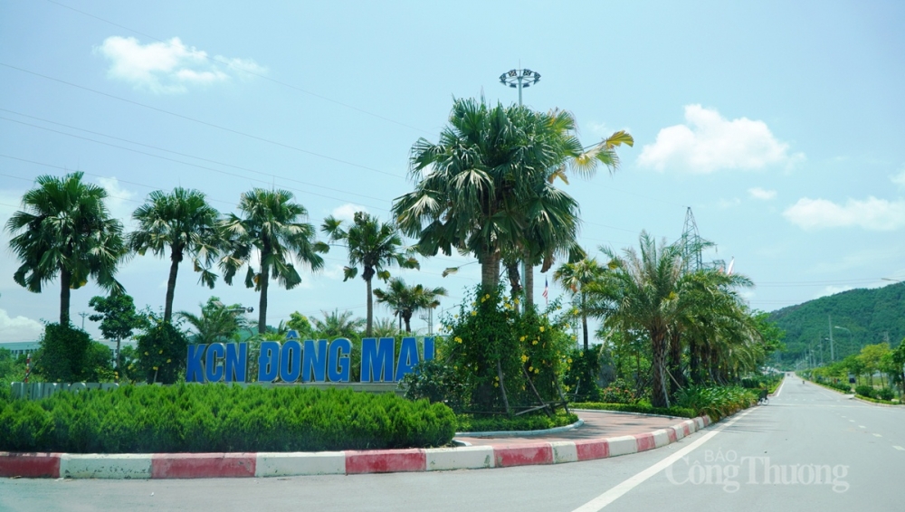 Dự án nhà máy Lioncore Việt Nam có chủ đầu tư là Công ty Singapore Lioncore Industries. Nhà máy được đặt tại Khu công nghiệp Đông Mai, thị xã Quảng Yên (tỉnh Quảng Ninh) Dự án nhà máy Lioncore Việt Nam có chủ đầu tư là Công ty Singapore Lioncore Industries. Nhà máy được đặt tại Khu công nghiệp Đông Mai, thị xã Quảng Yên (tỉnh Quảng Ninh)