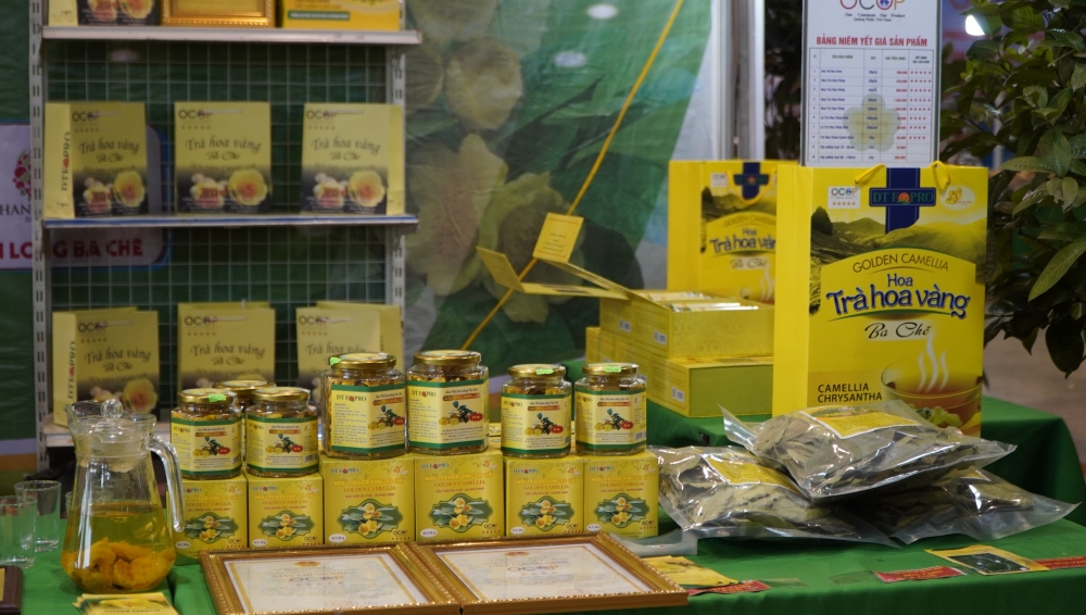 Trà Hoa Vàng Ba chẽ là một trong những sản phẩm OCOP nổi tiếng của tỉnh Quảng Ninh Trà Hoa Vàng Ba chẽ là một trong những sản phẩm OCOP nổi tiếng của tỉnh Quảng Ninh