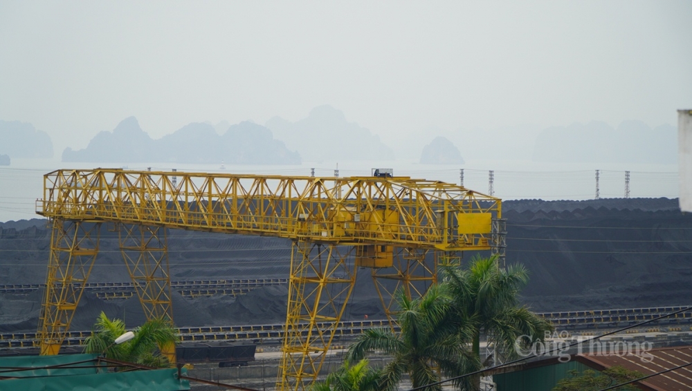 Riêng đối với các đơn vị kho vận, tuyển than, vận chuyển, kinh doanh, chế biến than có nhập – xuất than tại khu vực bờ cảng, phương tiện vận chuyển (tàu, sà lan) sẽ được đảm bảo ánh sáng, tường bao, camera họa động 24/24 và thực hiện triệt để việc giao nh