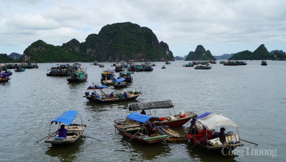  các phương tiện thủy sẽ không được neo đậu trái phép tại khu vực vùng đệm ven bờ Vịnh Hạ Long từ ngày 4/3/2021