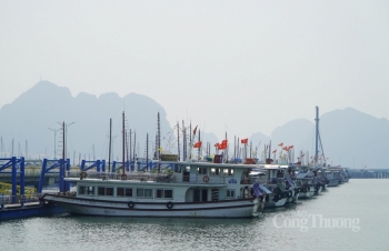Quảng Ninh từng bước khôi phục hoạt động du lịch