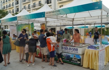 Quảng Ninh tổ chức 