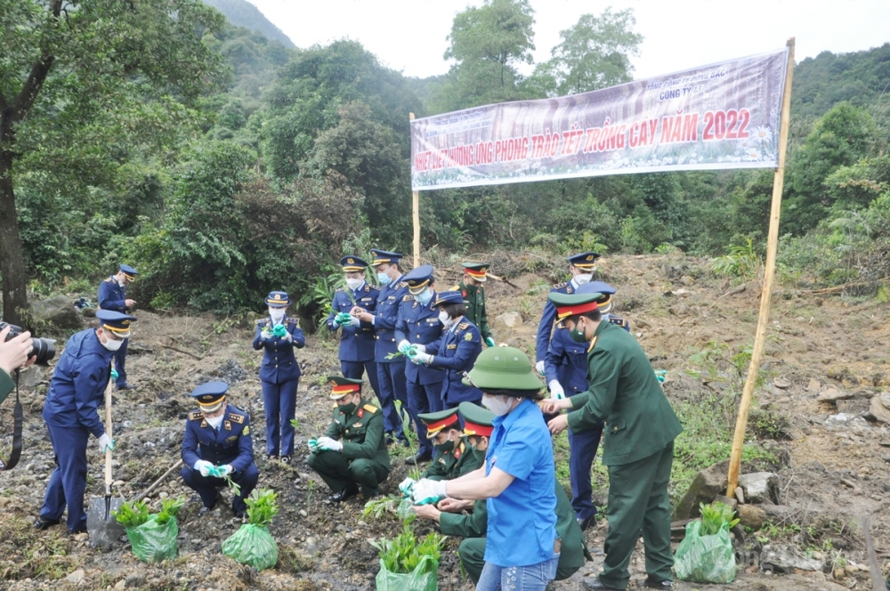 Đã có 2000 cây keo được trồng mới sau chương trình