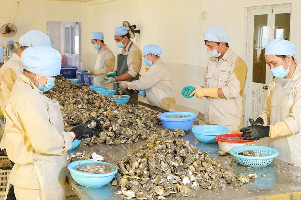 Quảng Ninh: Thành lập Cụm công nghiệp Vân Đồn với tổng vốn đầu tư trên 486 tỷ đồng Quảng Ninh: Thành lập Cụm công nghiệp Vân Đồn với tổng vốn đầu tư trên 486 tỷ đồng