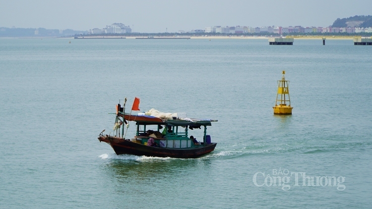 thang 3 quang ninh xu phat 110 vu vi pham ve khai thac bao ve nguon loi thuy san