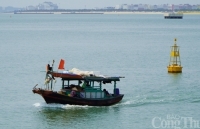 Tháng 3, Quảng Ninh xử phạt 110 vụ vi pham về khai thác, bảo vệ nguồn lợi thủy sản
