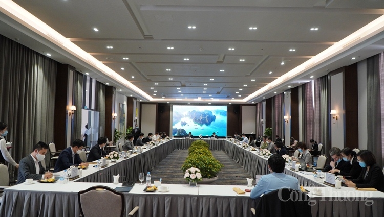 quang ninh sap don nhieu nhan su cua cac doanh nghiep han quoc