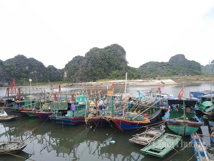 quang ninh khu tai dinh cu lang chai ha phong chong chenh giua mua dich