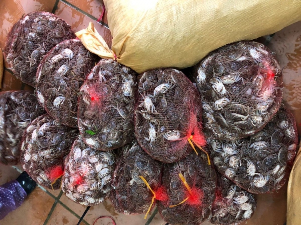 Số thực phẩm tươi sống nhập lậu bị lực lượng chức năng tỉnh Quảng Ninh phát hiện và bắt giữ