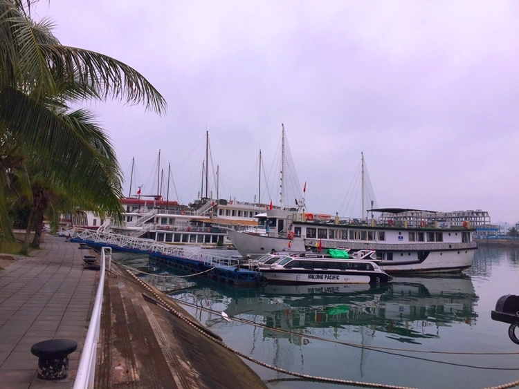 quang ninh cho phep dich vu luu tru tren vinh ha long hoat dong tro lai