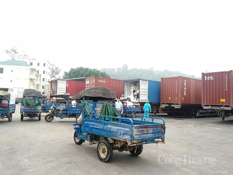 Sắp thông quan trở lại cửa khẩu Bắc Phong Sinh và lối mở Ka Long sap thong quan tro lai cua khau bac phong sinh va loi mo ka long