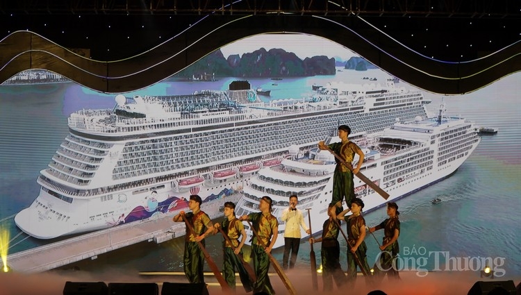 chao he ha long quang ninh 2020 day soi dong va hap dan