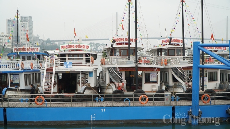 quang ninh da chi tra 378 trieu dong cho nguoi lao dong bi anh huong boi dich covid 19