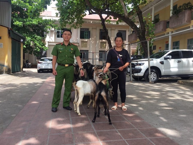 Quảng Ninh: Bắt giữ đối tượng lừa đảo qua mạng xã hội quang ninh bat giu doi tuong lua dao qua mang xa hoi