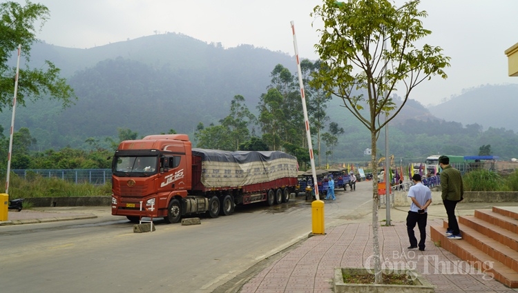 quang ninh kim ngach xnk giam 16 trong 5 thang dau nam