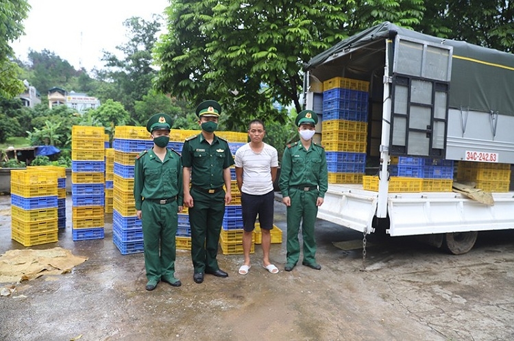 quang ninh phat hien 6500 con ga giong nhap lau tu trung quoc