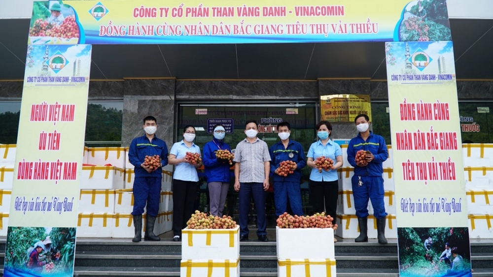 Công ty CP Than Vàng Danh hỗ trợ tiêu thụ vải thiều Bắc Giang. (Ảnh: Phạm Cường) Công ty CP Than Vàng Danh hỗ trợ tiêu thụ vải thiều Bắc Giang. (Ảnh: Phạm Cường)