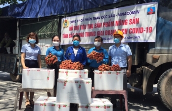 Than Cọc Sáu hỗ trợ tiêu thụ 4,6 tấn vải thiều Bắc Giang