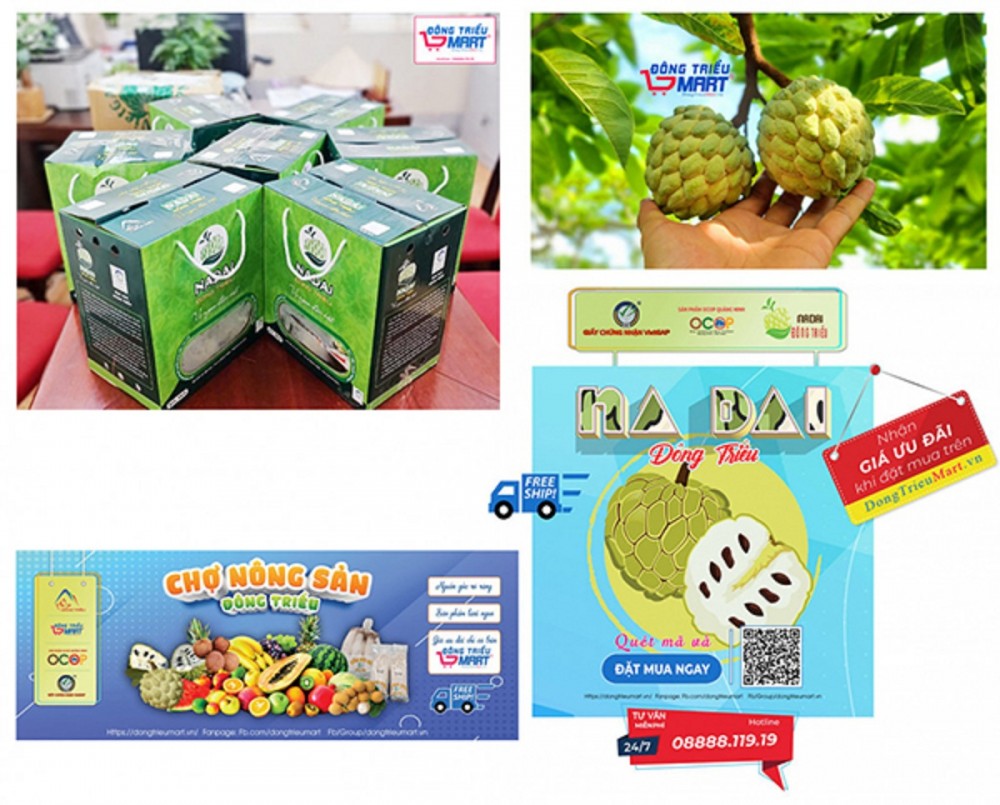 Sản phẩm na dai Đông Triều được quảng bá, bày bán trên website dongtrieumart.vn Sản phẩm na dai Đông Triều được quảng bá, bày bán trên website dongtrieumart.vn