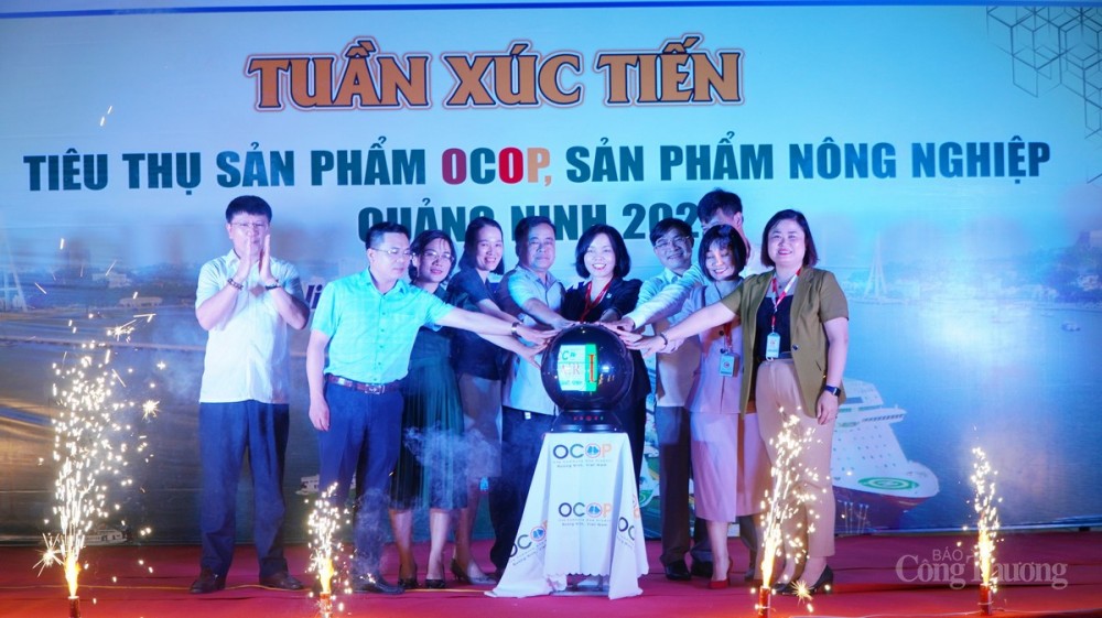 Các đại biểu ấn nút khai mạc sự kiện
