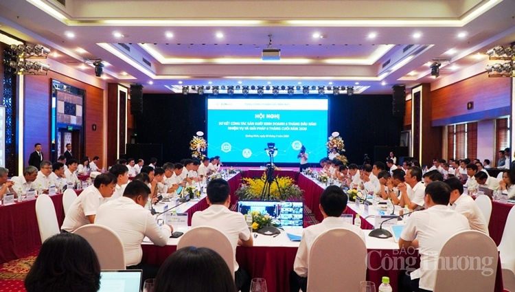 4102 tong cong ty dien luc mien bac 1