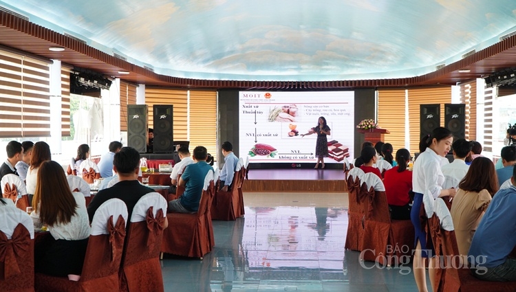 Bà Trịnh Thị Thu Hiền, Trưởng phòng Xuất xứ hàng hóa, Cục Xuất nhập khẩu (Bộ Công Thương) chia sẻ về những điểm cần lưu ý trong EVFTA 1326 pho bien evfta tai quang ninh 1