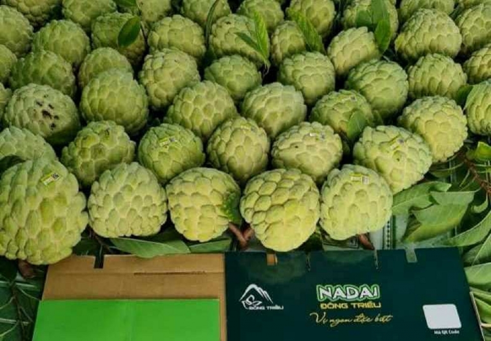 Sản phẩm có thể truy xuất nguồn gốc bằng cách quét mã QR Sản phẩm có thể truy xuất nguồn gốc bằng cách quét mã QR