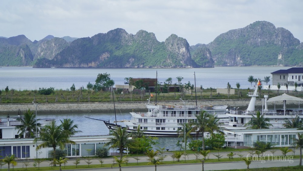 Tỉnh Quảng Ninh tạm ngừng cấp phép các phương tiện du lịch biển Tỉnh Quảng Ninh tạm ngừng cấp phép các phương tiện du lịch biển