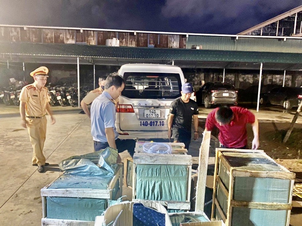 Số rượu nhập lậu bị lực lượng Quản lý thị trường tỉnh Quảng Ninh phát hiện Số rượu nhập lậu bị lực lượng Quản lý thị trường tỉnh Quảng Ninh phát hiện