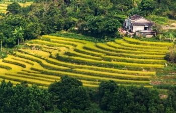 Quảng Ninh sắp tổ chức Hội mùa vàng Bình Liêu