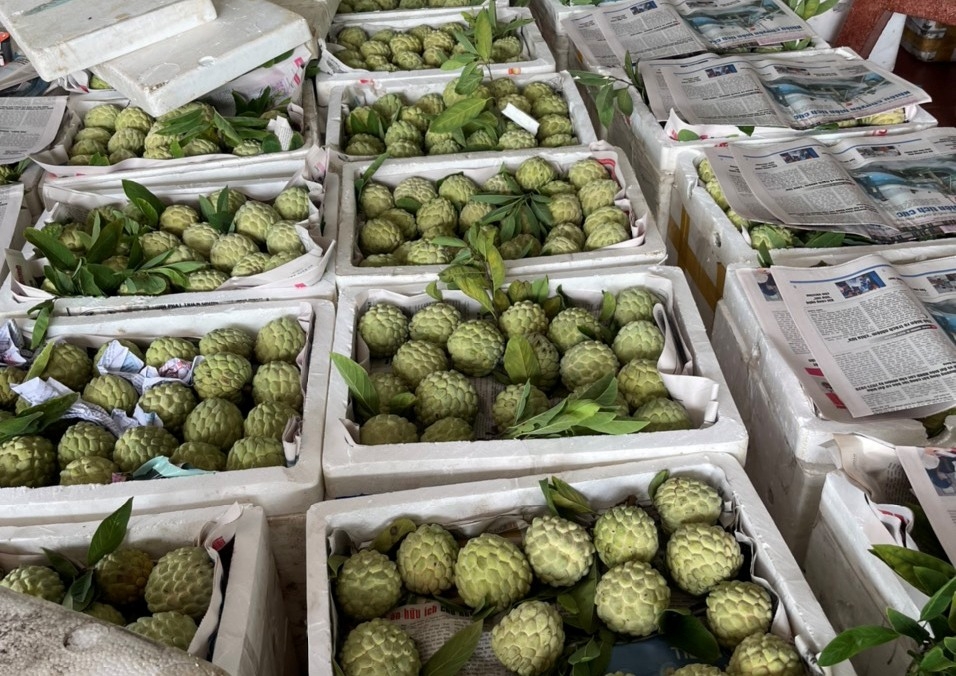 Trong tình hình dịch bệnh hiện nay, thương mại điện tử là một trong những cơ hội để các địa phương, doanh nghiệp đẩy mạnh tiêu thụ sản phẩm, đảm bảo an toàn phòng, chống dịch Trong tình hình dịch bệnh hiện nay, thương mại điện tử là một trong những cơ hội để các địa phương, doanh nghiệp đẩy mạnh tiêu thụ sản phẩm, đảm bảo an toàn phòng, chống dịch