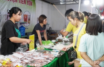 Quảng Ninh hỗ trợ 32 tỷ đồng cho 25 nghìn lao động tự do gặp khó khăn do dịch Covid-19