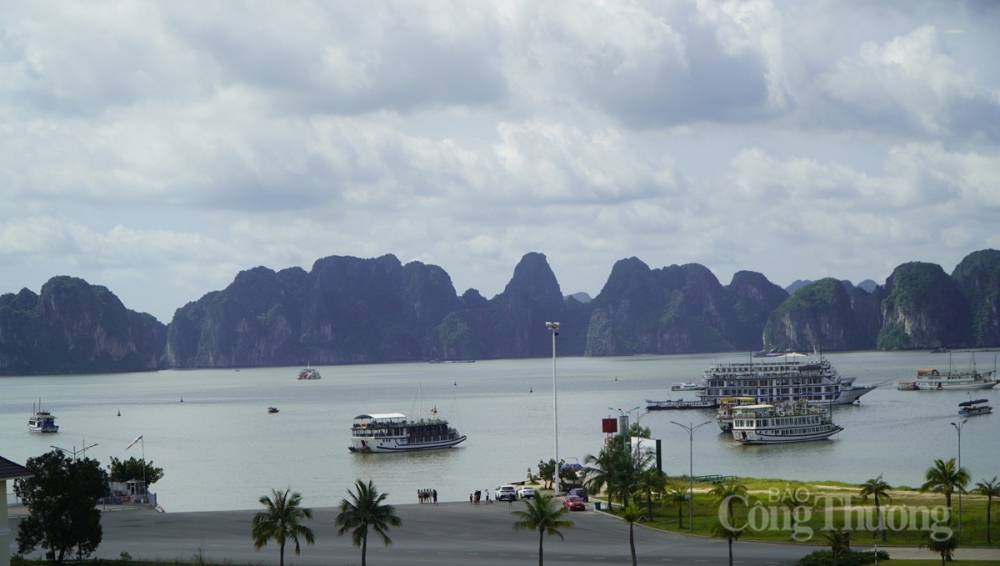 3831-tau-tham-vinh-ha-long