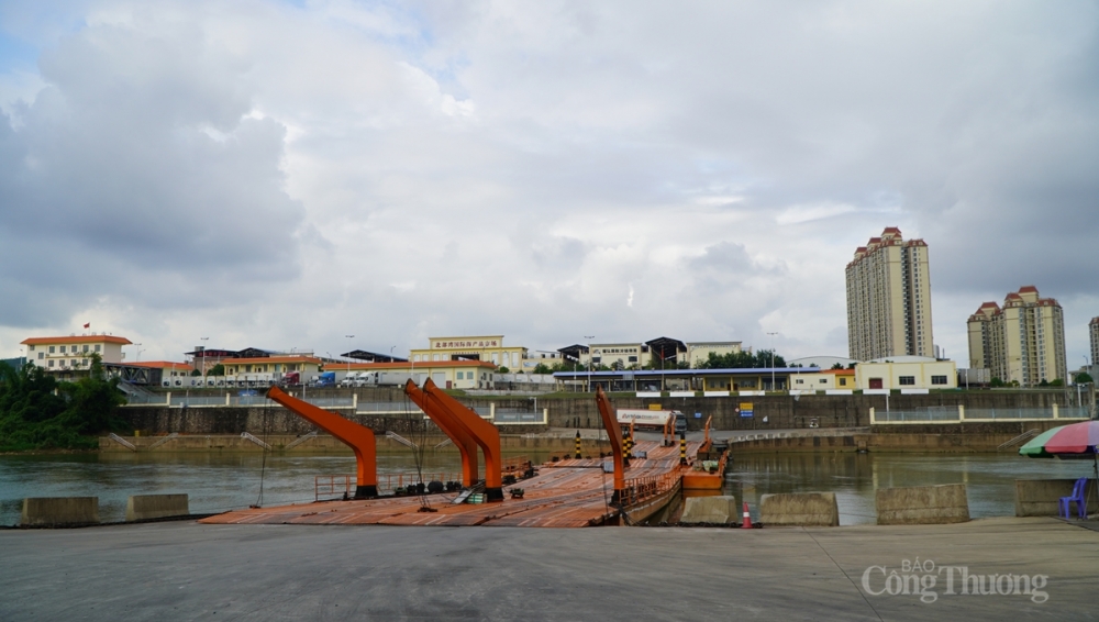 hàng hóa và phương tiện đến từ vùng dịch phải việc thực hiện lấy mẫu xét nghiệm virus SARS-CoV-2 hàng hóa và phương tiện đến từ vùng dịch phải việc thực hiện lấy mẫu xét nghiệm virus SARS-CoV-2