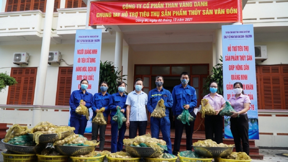 Công ty Cổ phần Than Vàng Danh hỗ trợ tiêu thụ trên 3 tấn ngao Vân Đồn (Ảnh: Phạm Cường)