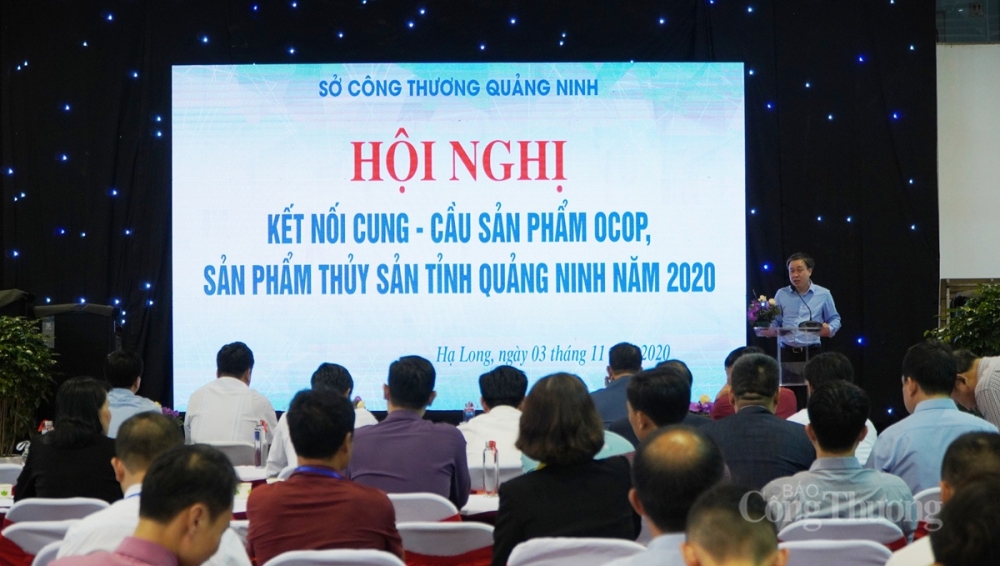 2318-ket-noi-cung-cau-quang-ninh-1