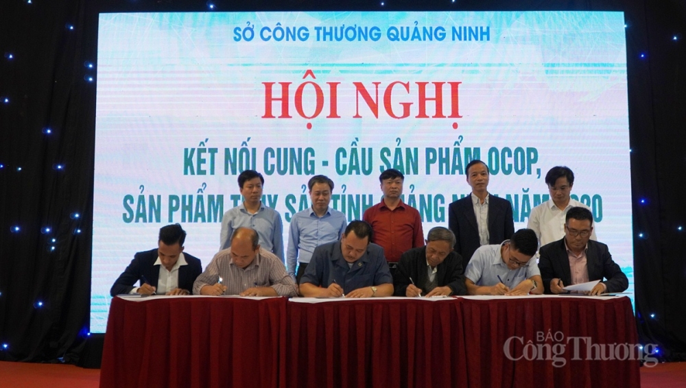 2321-ket-noi-cung-cau-quang-ninh-3